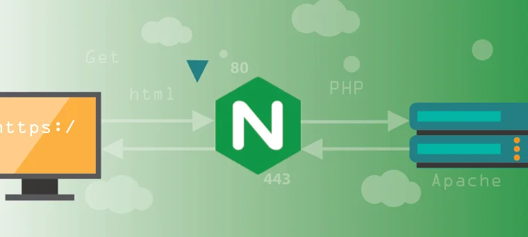 nginx