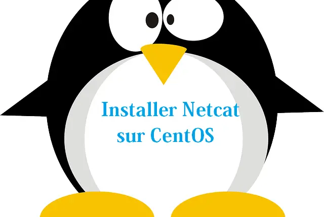 netcat