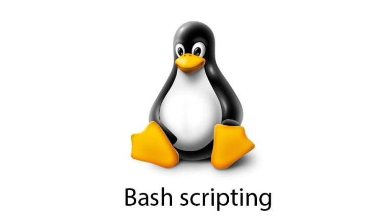 bash scripting
