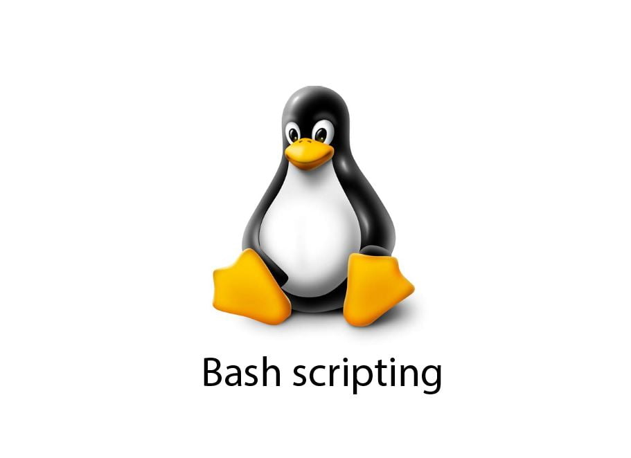 bash-scripting-linux-sysreseau